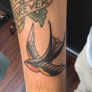 Meet your Posher, Josh